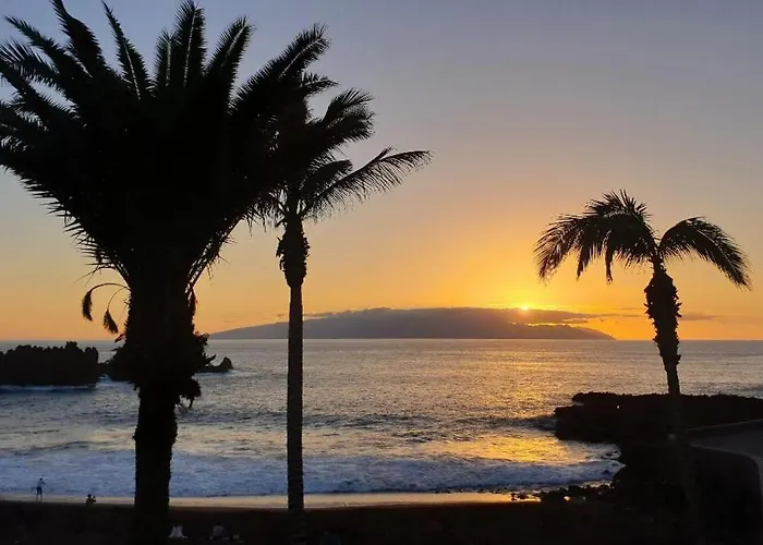 Apartment Sunflower Just Relax *