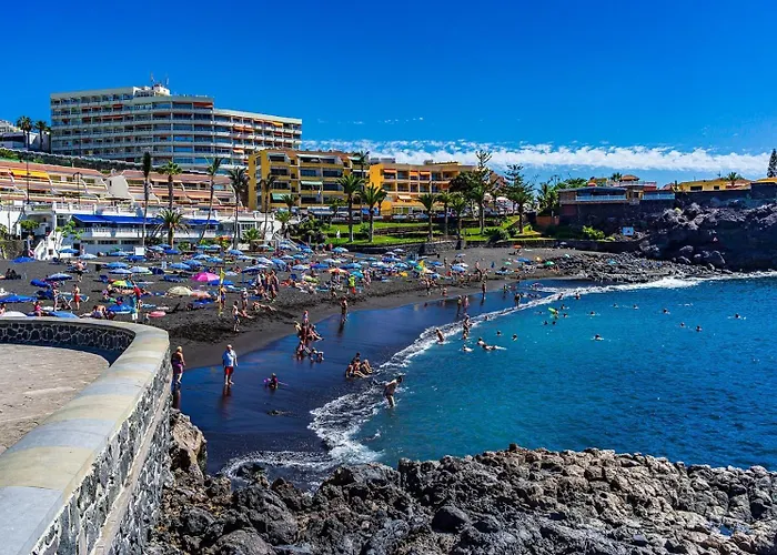 Sunflower Just Relax